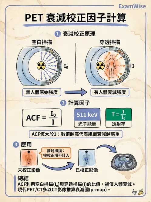 放射 - PET校正、影像重建與臨床操作 - AI 圖文解析預覽