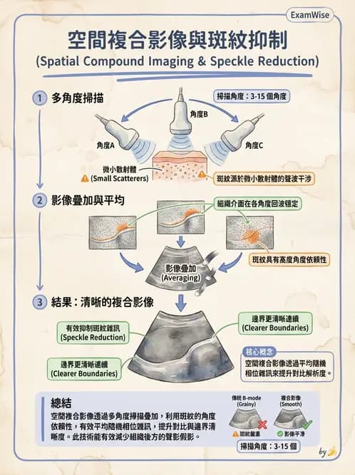 放射 - 超音波進階成像與假影 - AI 圖文解析預覽
