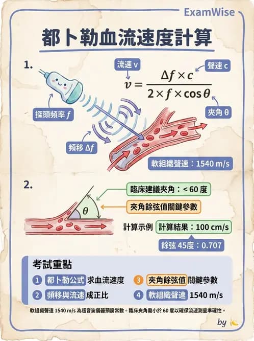 放射 - 都普勒超音波 - AI 圖文解析預覽
