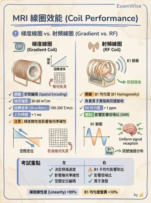 放射 - 梯度線圈與空間編碼 - AI 圖文解析預覽