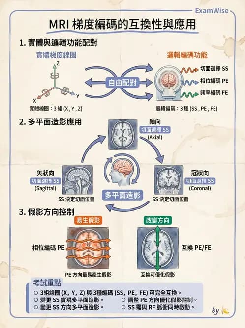 放射 - 梯度線圈與空間編碼 - AI 圖文解析預覽