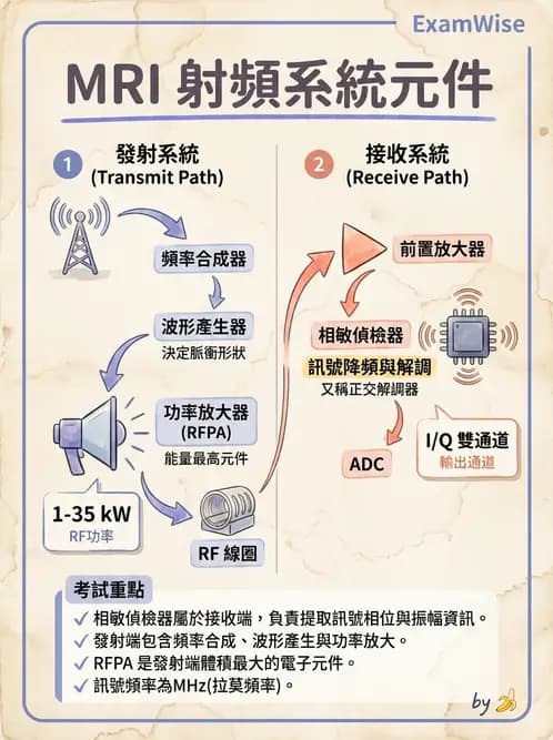 放射 - 射頻系統與線圈 - AI 圖文解析預覽
