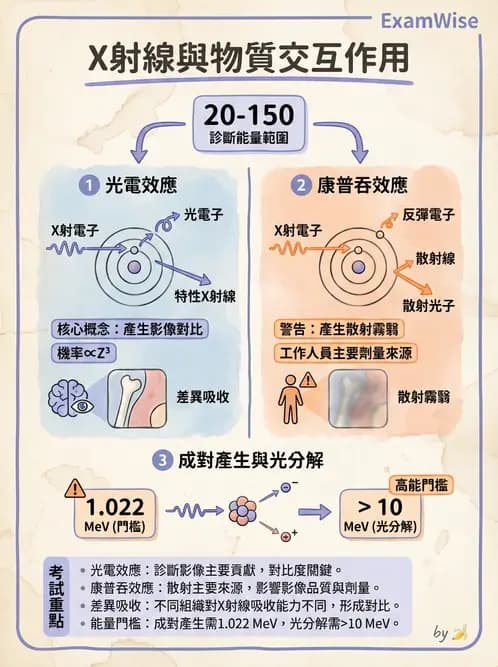 放射 - X光交互作用與影像品質 - AI 圖文解析預覽