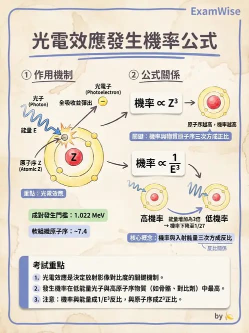 放射 - X光交互作用與影像品質 - AI 圖文解析預覽