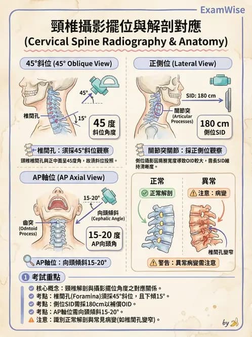 放射 - 頭頸脊椎攝影技術 - AI 圖文解析預覽