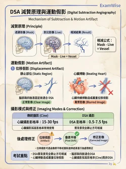 放射 - 血管攝影原理與解剖 - AI 圖文解析預覽