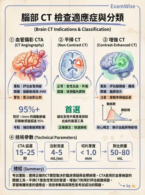 放射 - 頭頸部CT診斷 - AI 圖文解析預覽