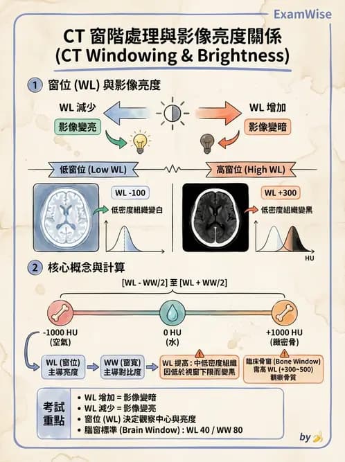 放射 - CTA與CT影像技術應用 - AI 圖文解析預覽