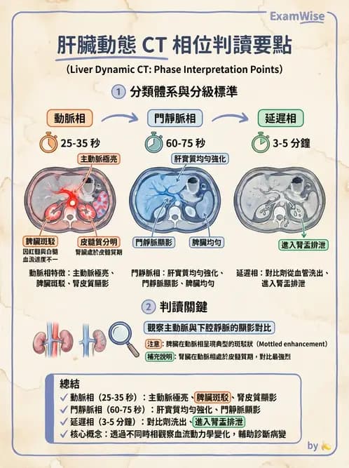 放射 - 胸腹部CT診斷 - AI 圖文解析預覽