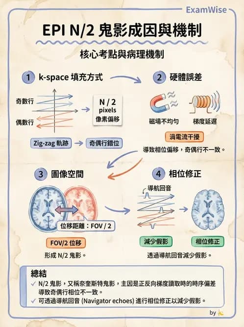 放射 - 磁振影像品質與參數 - AI 圖文解析預覽