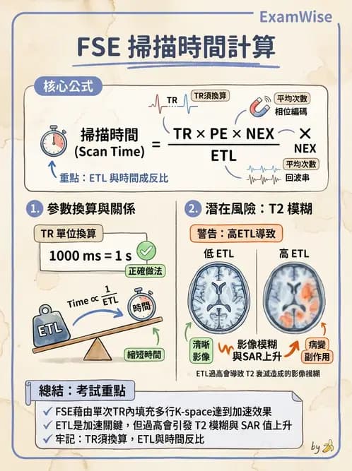 放射 - MRI脈衝序列與訊號技術 - AI 圖文解析預覽