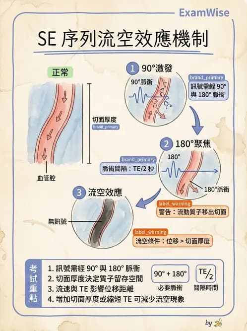 放射 - MRI脈衝序列與訊號技術 - AI 圖文解析預覽