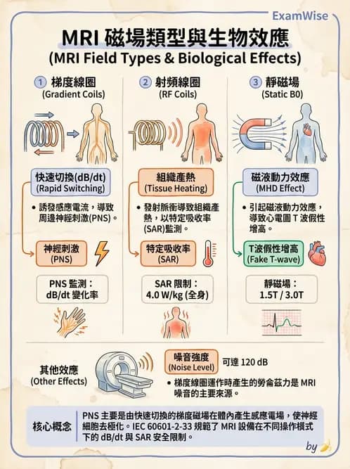 放射 - MRI系統硬體 - AI 圖文解析預覽