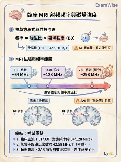 放射 - 磁振造影原理 - AI 圖文解析預覽