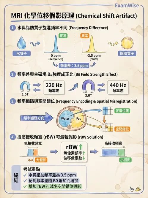 放射 - 磁振影像品質與參數 - AI 圖文解析預覽
