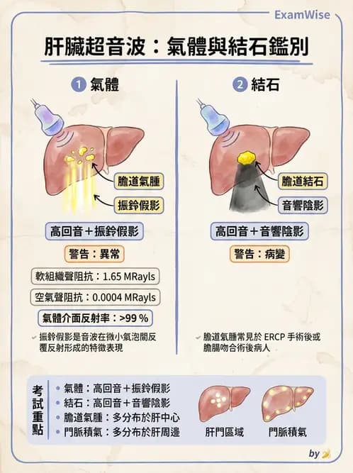 放射 - 肝臟超音波 - AI 圖文解析預覽