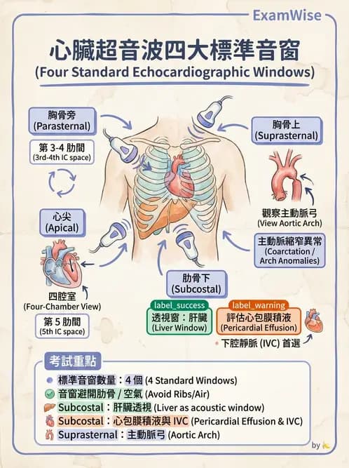 放射 - 腎臟血管與其他超音波 - AI 圖文解析預覽