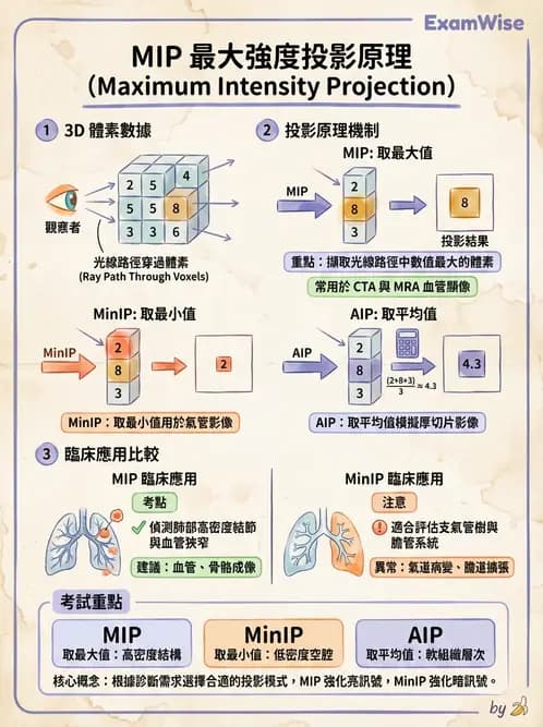 放射 - 數位影像原理與處理技術 - AI 圖文解析預覽