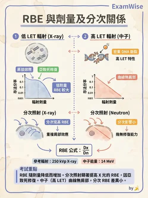 放射 - LET、RBE、OER與復氧效應 - AI 圖文解析預覽