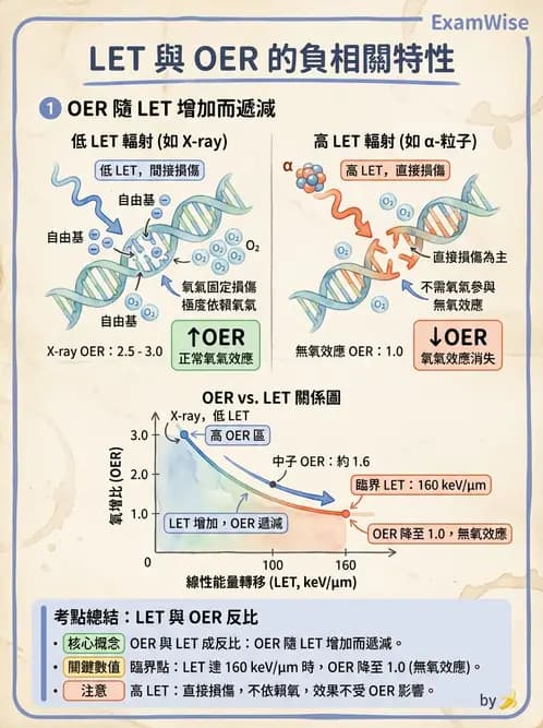放射 - LET、RBE、OER與復氧效應 - AI 圖文解析預覽