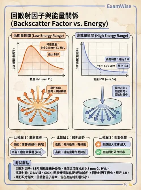 放射 - 深度劑量參數(PDD/TAR/TMR/TPR) - AI 圖文解析預覽