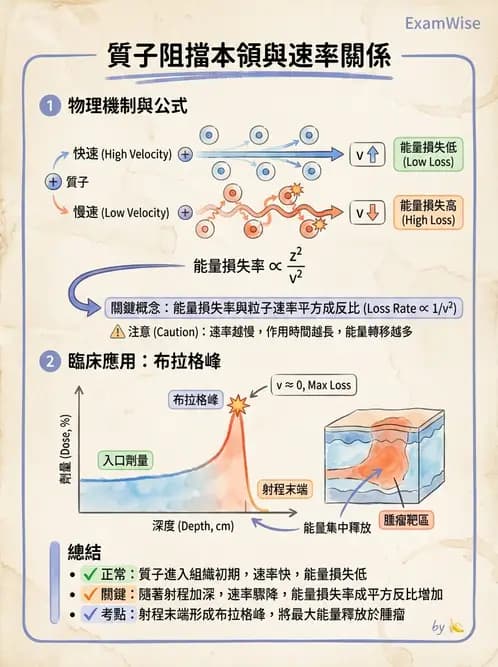 放射 - 質子與粒子治療 - AI 圖文解析預覽