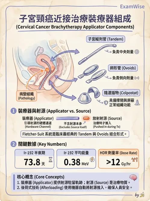 放射 - 腔內近接治療 - AI 圖文解析預覽