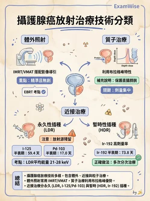 放射 - 插種近接治療 - AI 圖文解析預覽