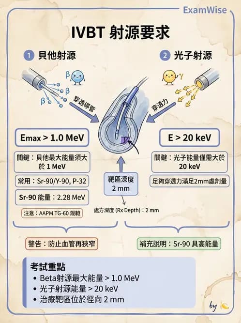 放射 - 血管內近接治療 - AI 圖文解析預覽