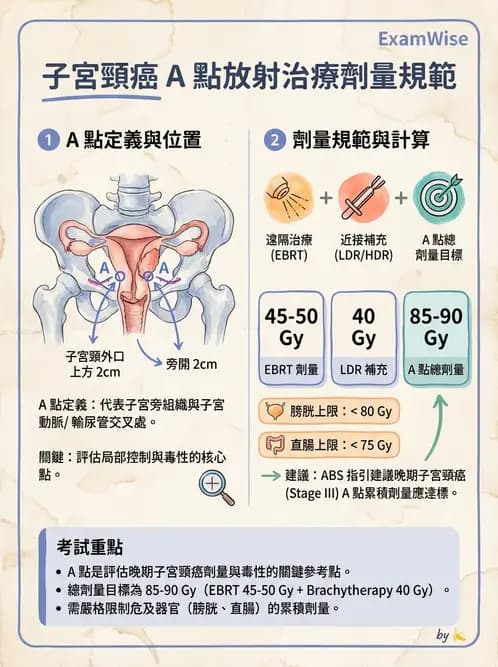 放射 - 近接放射治療臨床計畫與應用 - AI 圖文解析預覽