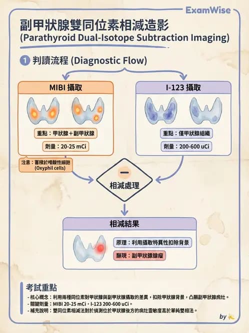 放射 - 副甲狀腺與前哨淋巴結造影 - AI 圖文解析預覽
