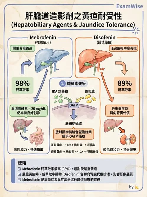 放射 - 肺肝膽與製劑通則 - AI 圖文解析預覽