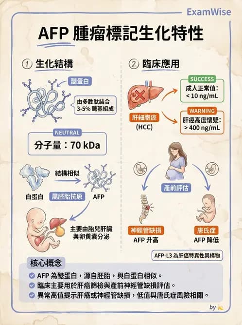 放射 - 免疫分析品管與臨床應用 - AI 圖文解析預覽