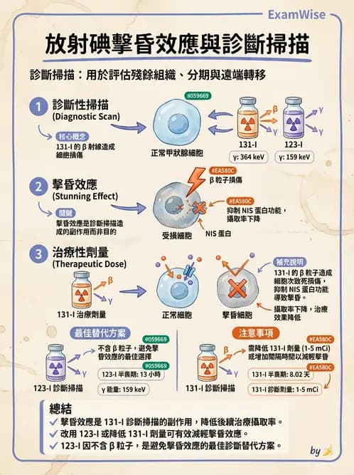 放射 - 腫瘤治療 - AI 圖文解析預覽