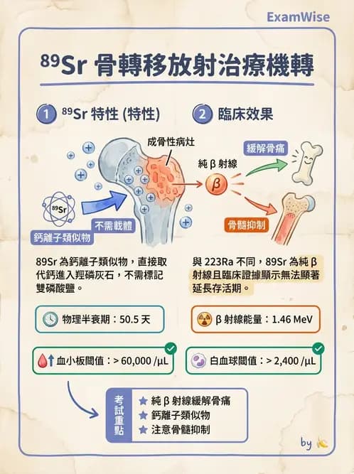 放射 - 非腫瘤治療 - AI 圖文解析預覽
