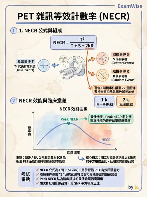 放射 - PET造影原理與重組 - AI 圖文解析預覽