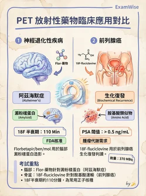 放射 - 腫瘤PET藥物 - AI 圖文解析預覽