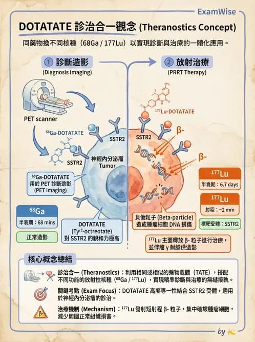 放射 - 腫瘤與內分泌造影SPECT藥物 - AI 圖文解析預覽