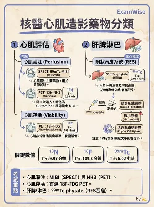 放射 - 心肌造影SPECT藥物 - AI 圖文解析預覽