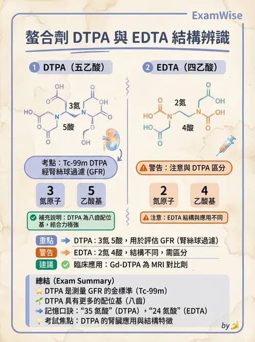 放射 - 肺肝膽與製劑通則 - AI 圖文解析預覽