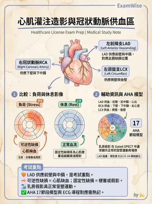 放射 - 心臟灌注造影 - AI 圖文解析預覽