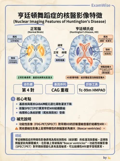 放射 - 腦部造影 - AI 圖文解析預覽