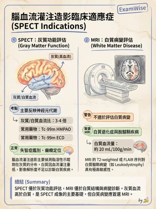 放射 - 腦部造影 - AI 圖文解析預覽