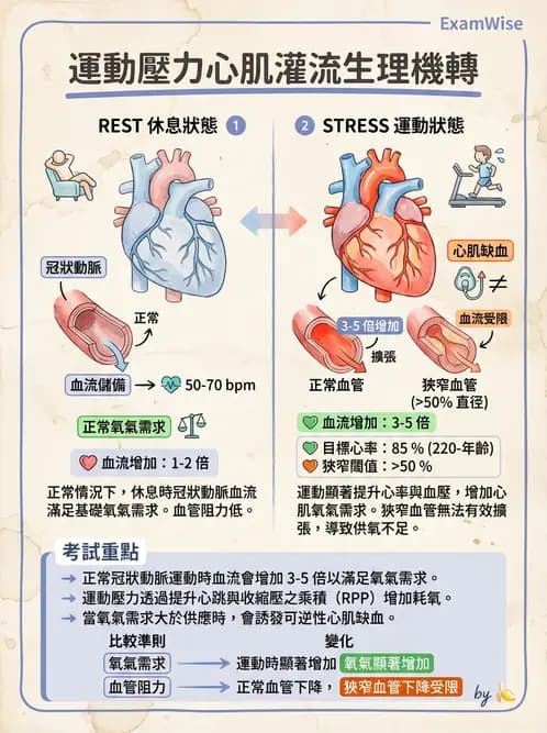 放射 - 心臟灌注造影 - AI 圖文解析預覽