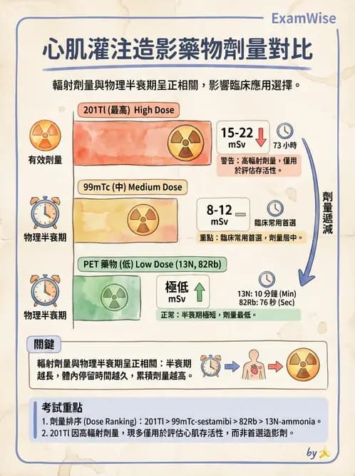 放射 - 體內吸收劑量 - AI 圖文解析預覽