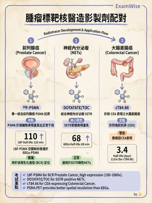放射 - 腫瘤PET藥物 - AI 圖文解析預覽