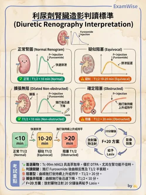 放射 - 腎臟造影 - AI 圖文解析預覽