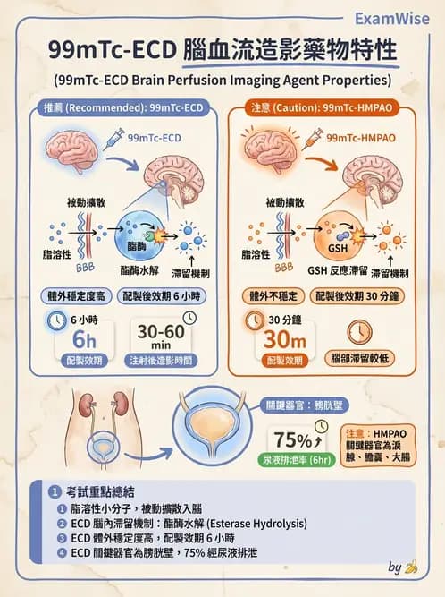 放射 - 腦部造影SPECT藥物 - AI 圖文解析預覽