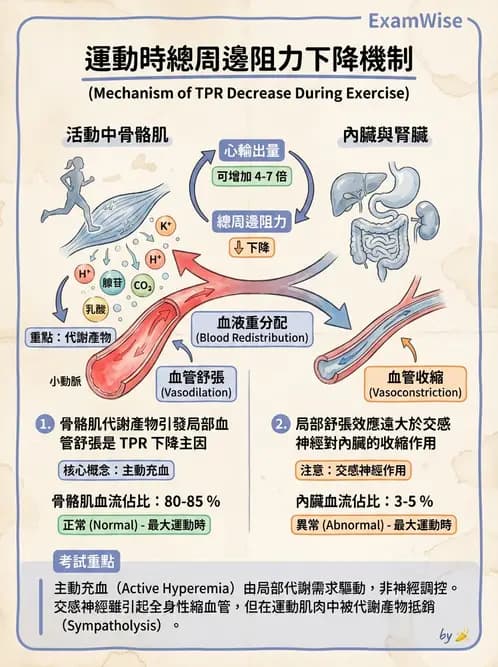 放射 - 心血管生理 - AI 圖文解析預覽