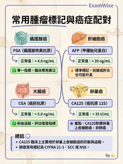放射 - 惡性腫瘤 - AI 圖文解析預覽